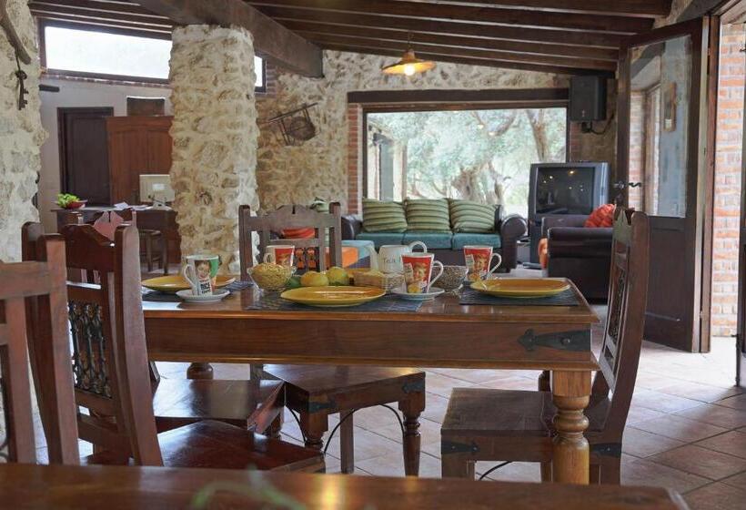 تختخواب و صبحانه Roba Degli Ulivi