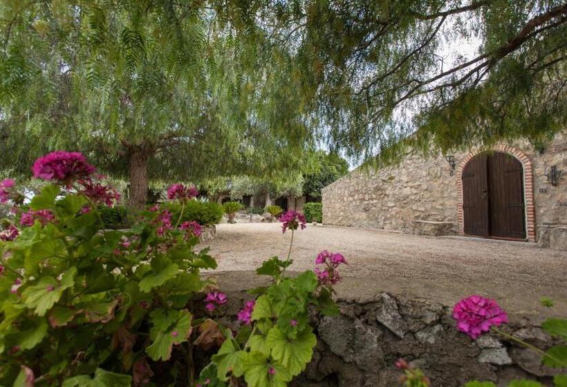 تختخواب و صبحانه Roba Degli Ulivi