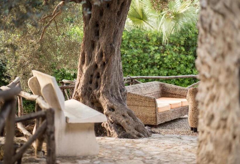 تختخواب و صبحانه Roba Degli Ulivi