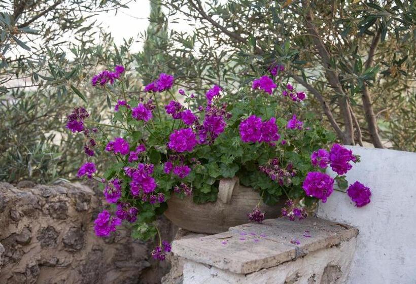 تختخواب و صبحانه Roba Degli Ulivi