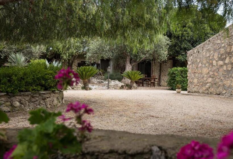 تختخواب و صبحانه Roba Degli Ulivi