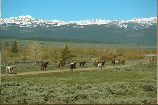 منتجع Parade Rest Ranch