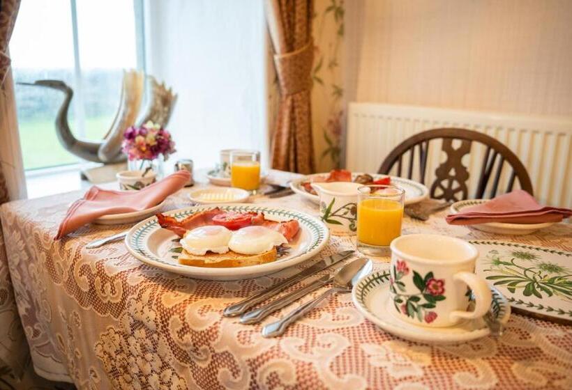 住宿加早餐  Gwrach Ynys Country Guest House