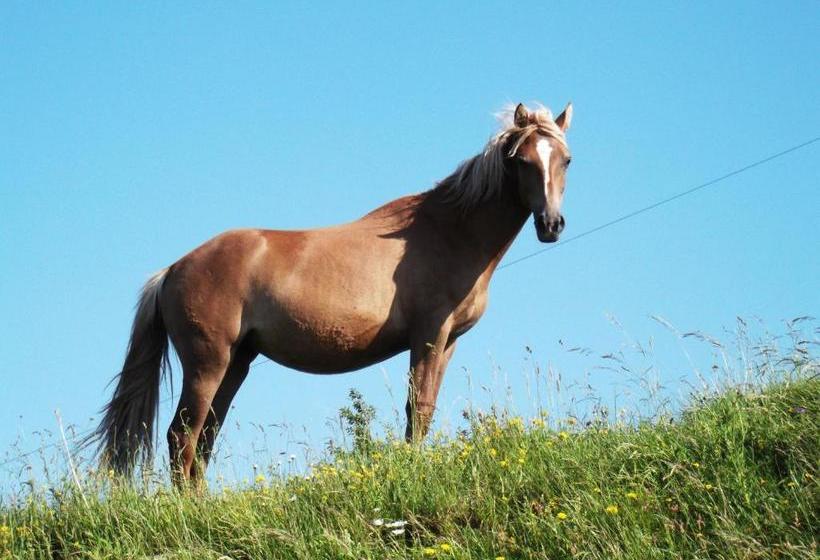 בית מלון כפרי Albergo Caprile