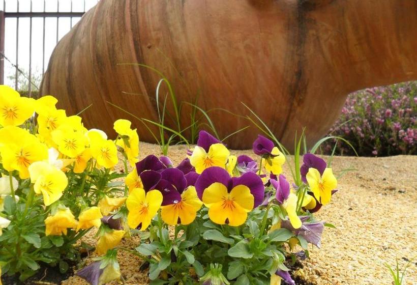 هتل Albergo Panoramica