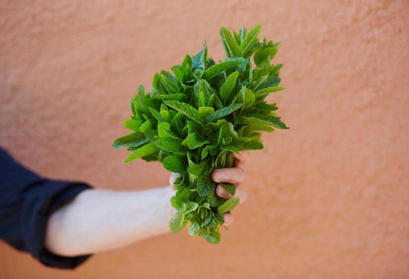 فندق Karnelund Krog & Rum