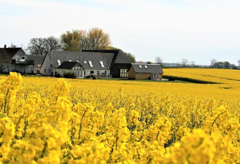 مبيت وإفطار Rødkærgård Bed&breakfast