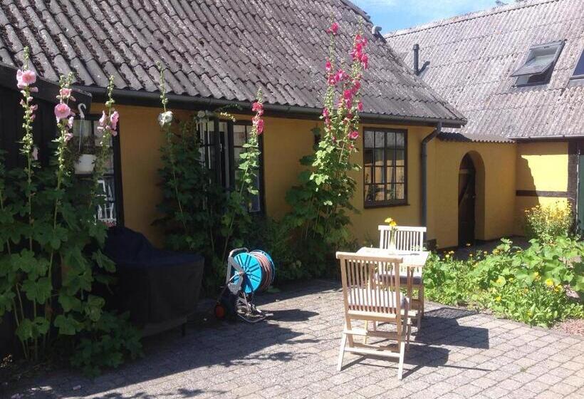 Dyrlev Bed & Breakfast