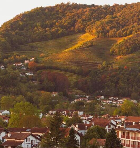 هتل Hôtel Itzalpea