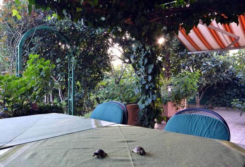 مبيت وإفطار Villa Daniela