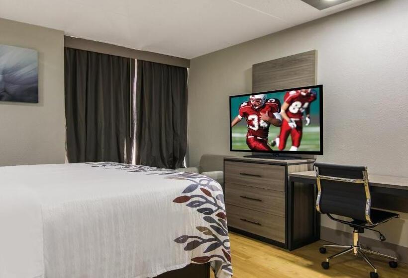 ホテル Red Roof Inn And Conference Center Chicago   N Aurora Naperville