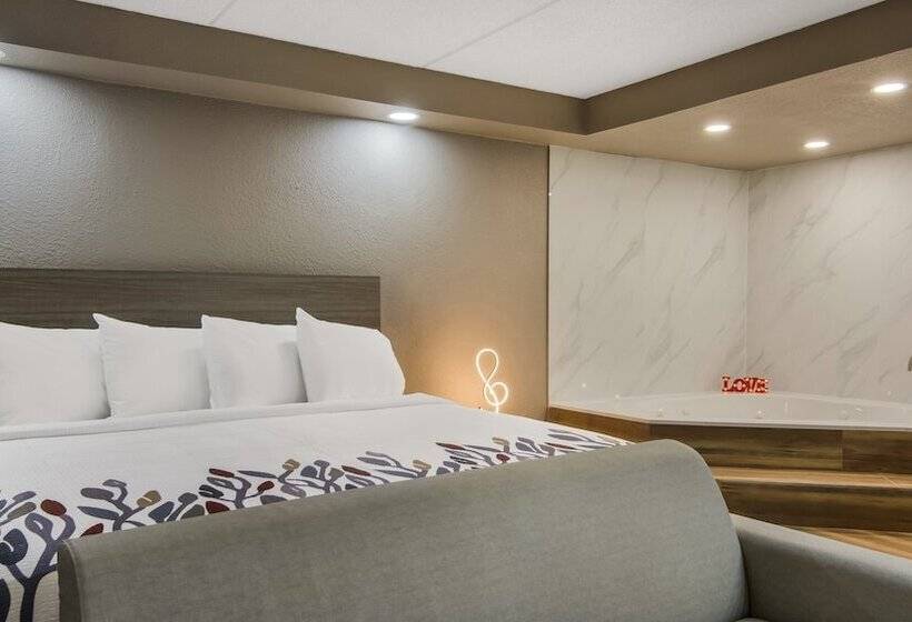 ホテル Red Roof Inn And Conference Center Chicago   N Aurora Naperville
