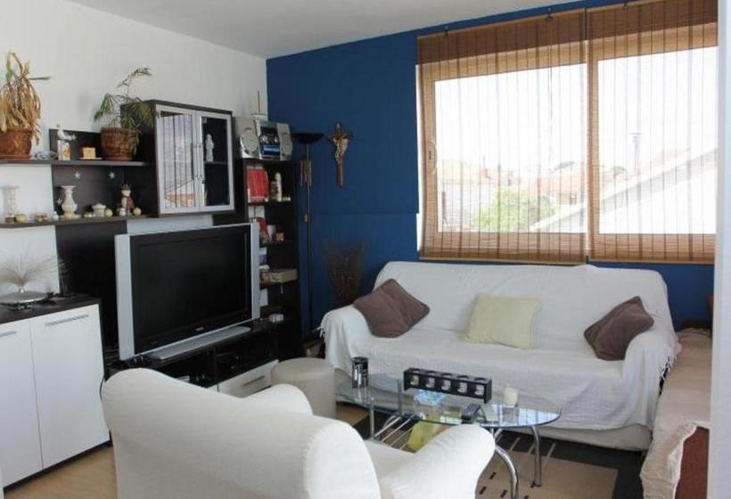 Apartment Dani   With Large Terrace