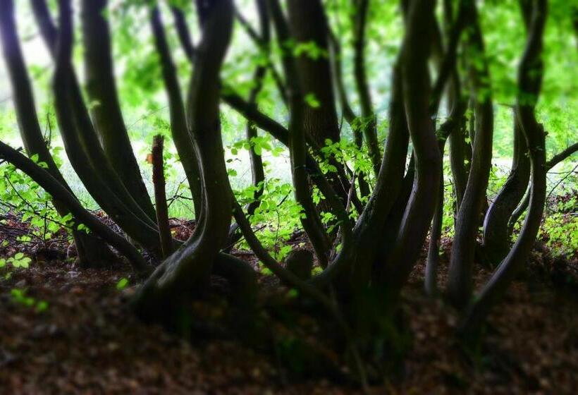 בית מלון כפרי Almrefugio