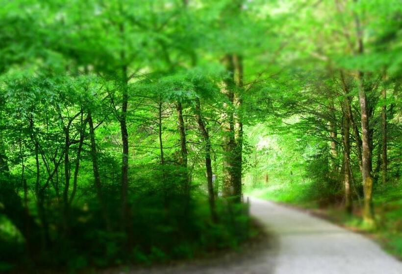 בית מלון כפרי Almrefugio