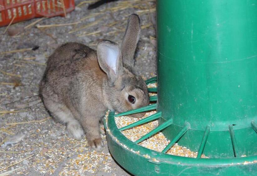 Agriturismo La Casa Di Bacco