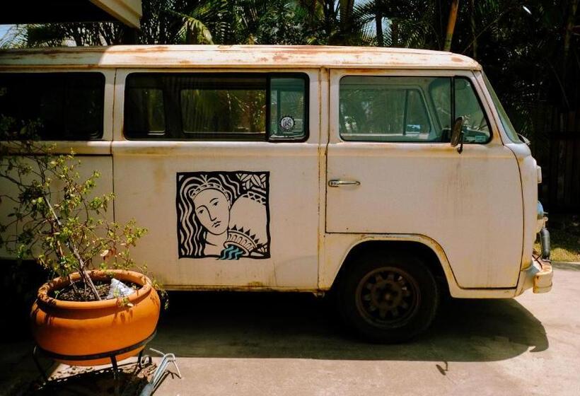 הוסטל Backpackers At 1770