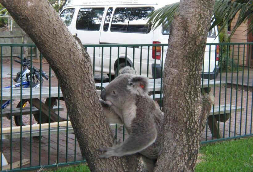 هاستل Port Macquarie Backpackers