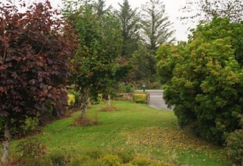 Gorman S B&b