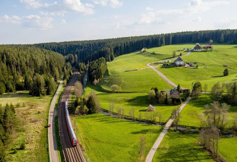 هتل Holiday Inn   Villingen   Schwenningen, An Ihg