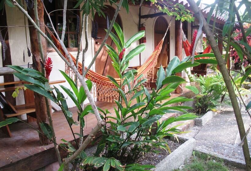 هتل La Barquita Beach Hostel