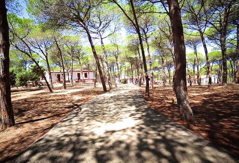 فندق Villaggio Dei Pini