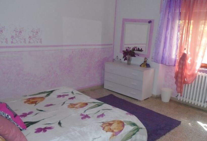 Tropical B&b