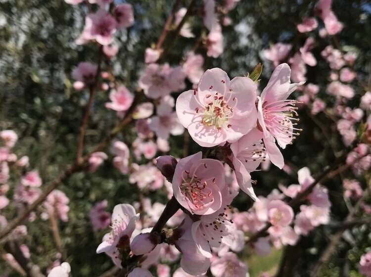 ベッドアンドブレックファースト Cilento