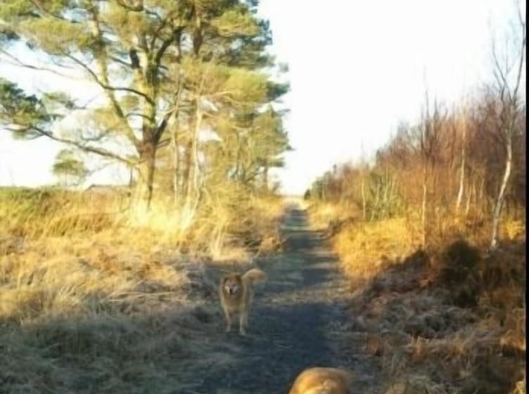 פנסיון The Village Studio Apartments