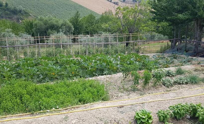 فندق Agriturismo Fiore Di Campo