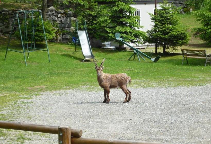 فندق Fior Di Roccia