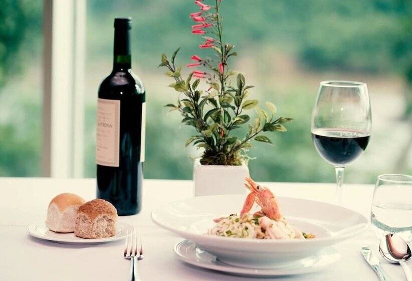 هتل Guaminí Misión