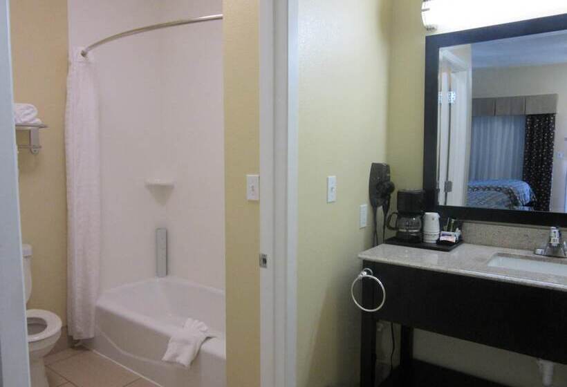 فندق Executive Inn And Suites Tyler