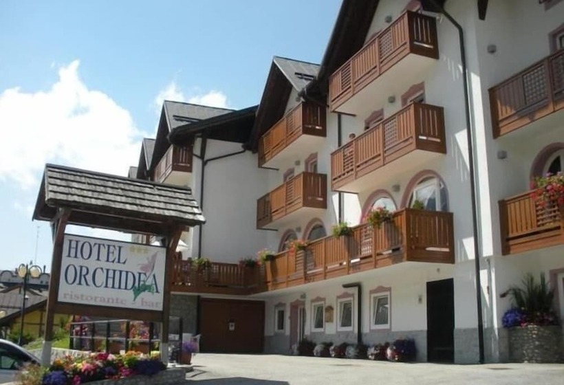 בית מלון כפרי Orchidea