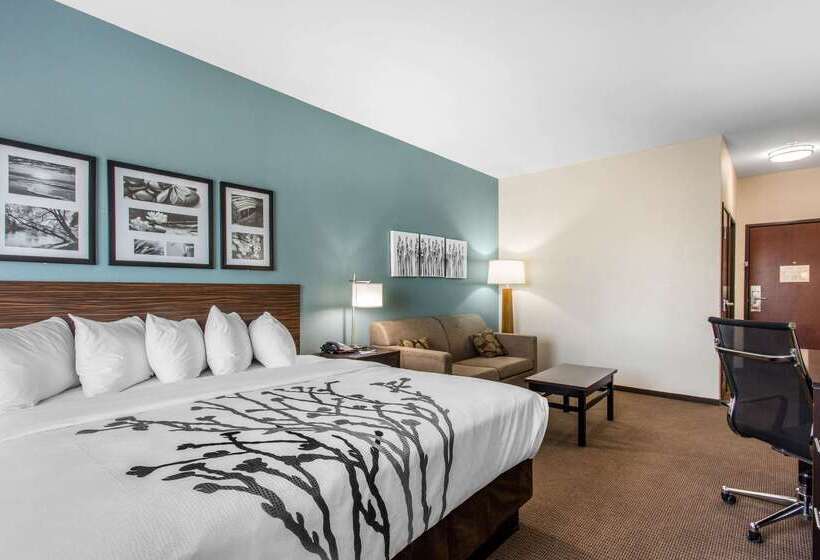 酒店 Sleep Inn Big Spring North I 20