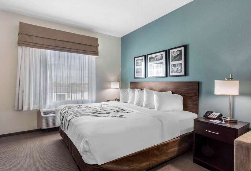 酒店 Sleep Inn Big Spring North I 20