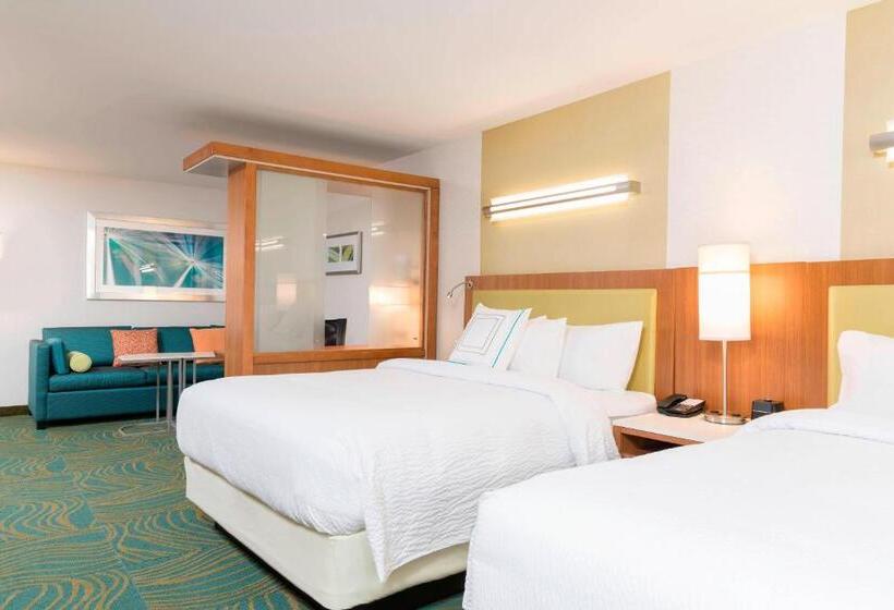 בית מלון כפרי Springhill Suites By Marriott Chicago Southeast/munster, In