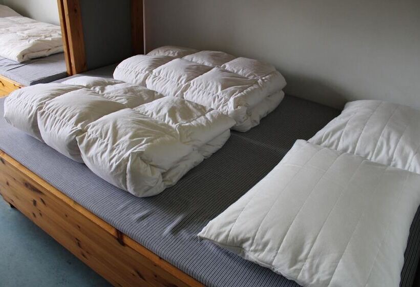 هتل Danhostel Aalborg