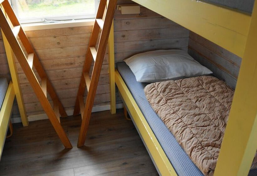 هتل Danhostel Aalborg