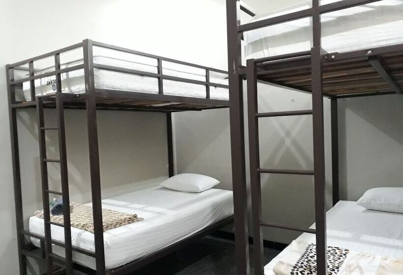 تختخواب و صبحانه Bonsai Surf Lodge   Hostel