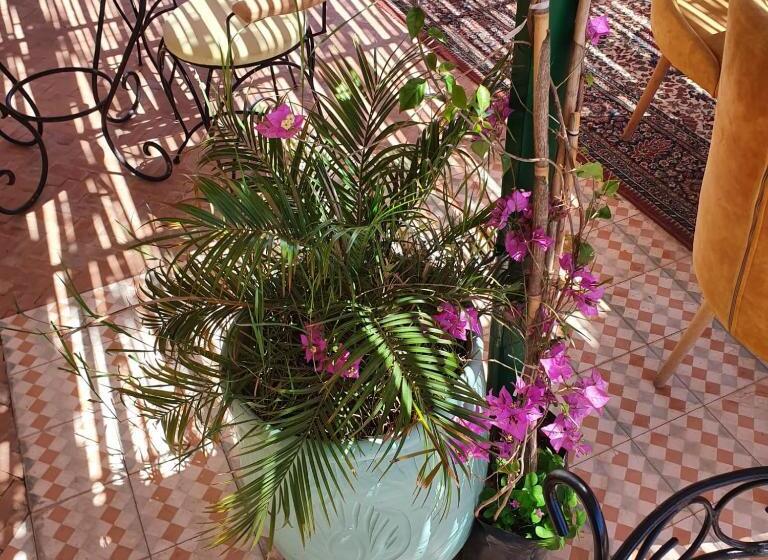 تختخواب و صبحانه Riad Golf Stinia