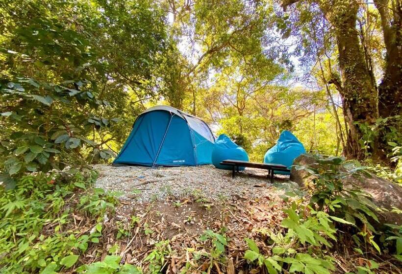 هاستل Río Elemento