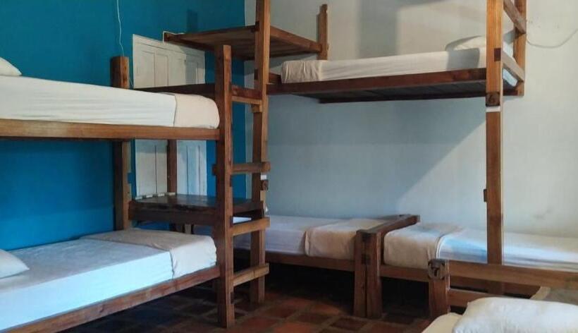 هاستل Río Elemento