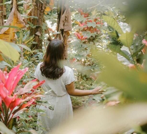 Курорт Song Broek Bali