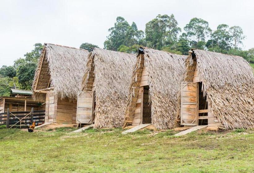 هاستل San Agustin Masaya Collection