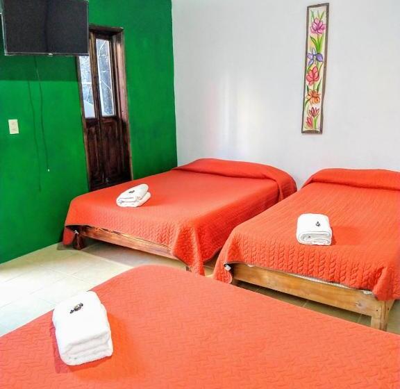 تختخواب و صبحانه Posada Jardin Huasteca Xilitla
