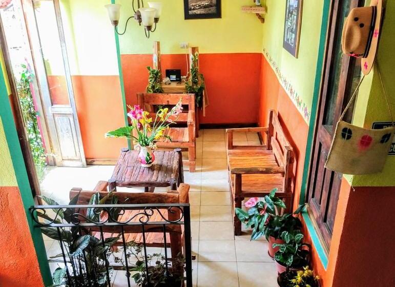 تختخواب و صبحانه Posada Jardin Huasteca Xilitla