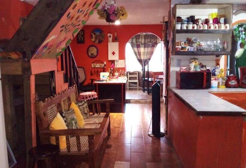 تختخواب و صبحانه Posada Jardin Huasteca Xilitla