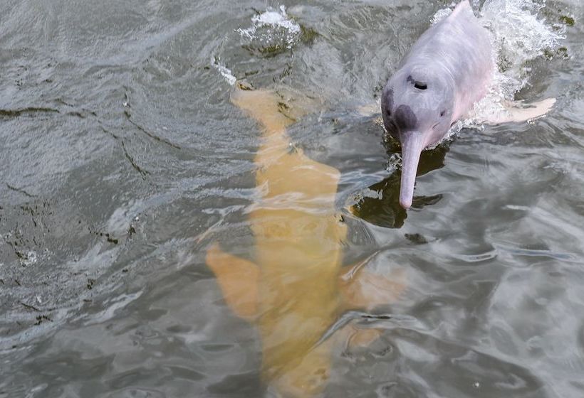 فندق Jg Expeditions Tours