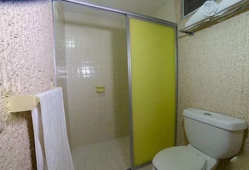 فندق Plaza Palmas